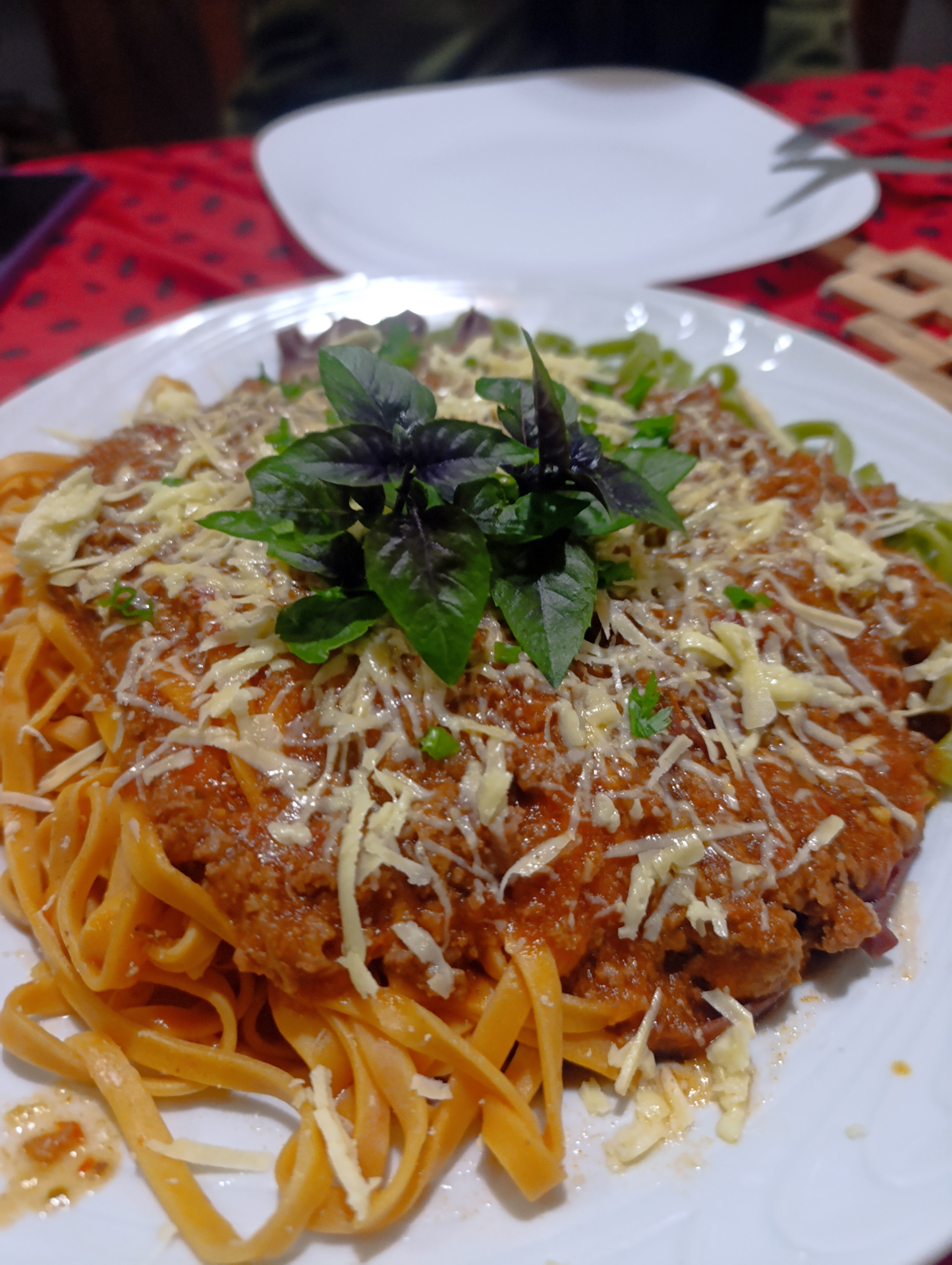 Macarrão artesanal com molho da casa